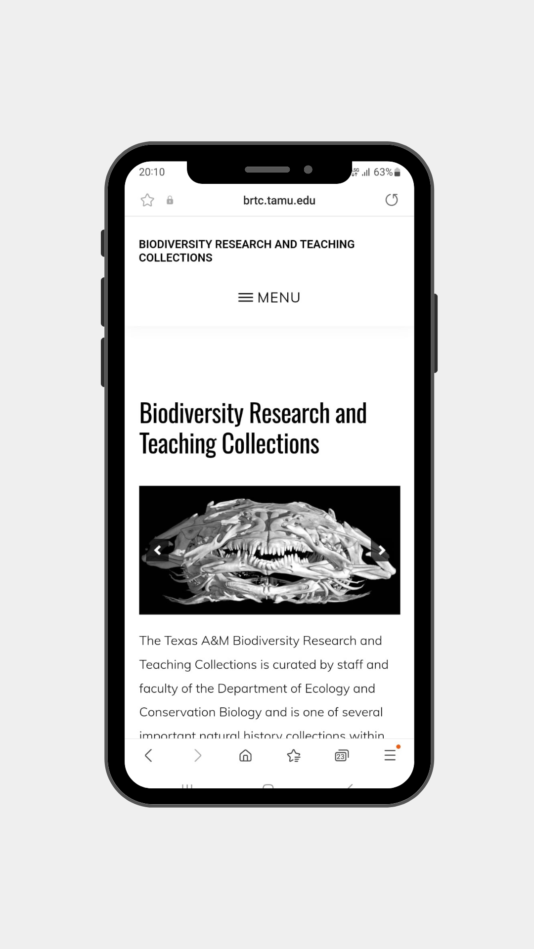 Biodiversity Research and Teaching Collections
