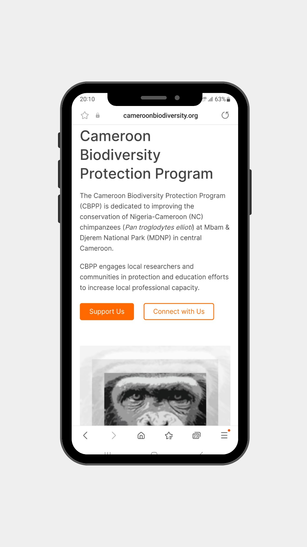 Cameroon Biodiversity Protection Program